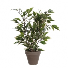 MicaDecorationsFicusNatasjaKunstplant-H40cm-GroenBont