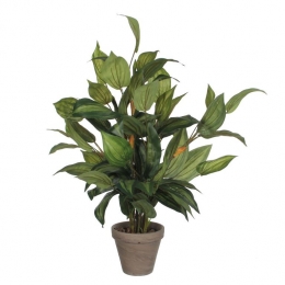 MicaDecorationsHostaKunstplant-H65x40cm-Groen