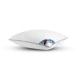 Fabiola-EendenverenEendendonsKussen-60x70cm