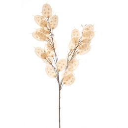 FleurdirectKunsttakLunaria-BeigeCreme-Kunststof