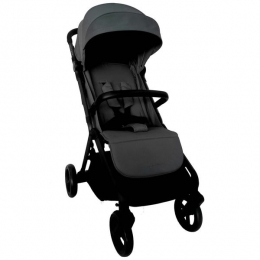 LittleDutchBuggy