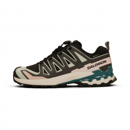 SalomonXAPro3Dv9GTXDames