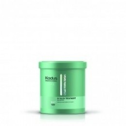KadusPUREInSalonTreatment750ml