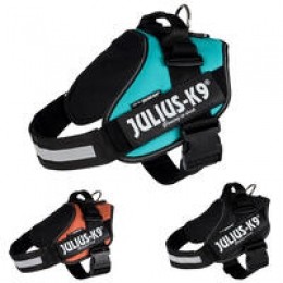 Julius-K9IDCPowergeschirr
