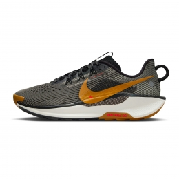 NikePegasusTrail5Heren