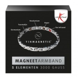 LucovitaalYinmagneticMagneetArmbandZilver