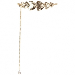 PetRinascimentoACV0014064003