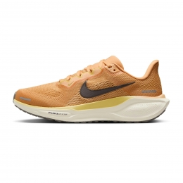 NikePegasus41dames