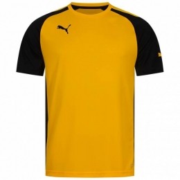 PUMASpeedHerenShirt701906-07