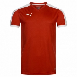 PUMAPitchHerenShirt702070-01