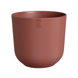 Jazzrond23toscaansroodbloempotelho-Elho