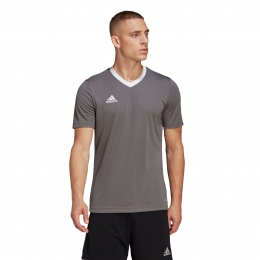 adidasEntrada22VoetbalshirtGrijsWit