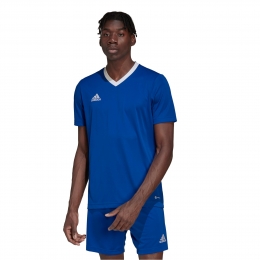 adidasEntrada22VoetbalshirtBlauwWit