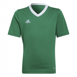 adidasEntrada22VoetbalshirtKidsGroenWit