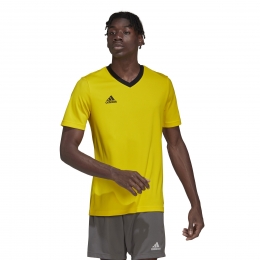 adidasEntrada22VoetbalshirtGeelZwart