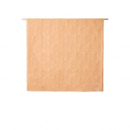 Sissy-BoyLichtoranjespreimetschelpen130x180cm