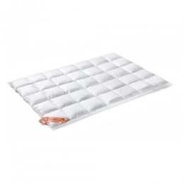VandyckExcellent650Winterdekbed200x200cm