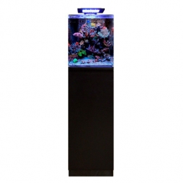Bmreef60aquarium-Aquadistri