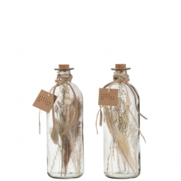 J-LinedecoratieflesGedroogdeBloemen-glas-naturel-large-2stuks