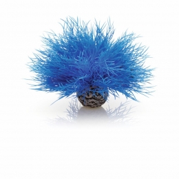 AquariumtoebehorenzeelelieblauwbiOrb-Biorb