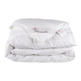 CinderellaSoul4-seizoenenDekbed200x200cm