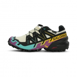 SalomonSpeedcross6GTXDames
