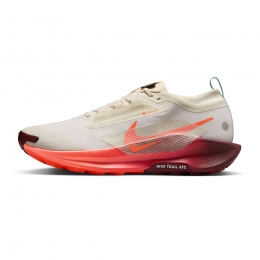 NikePegasusTrail5GTXDames