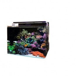 Bmreef120aquariumBlueMarineAquadistri-Aquadistri