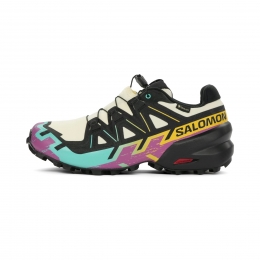 SalomonSpeedcross6GTXHeren