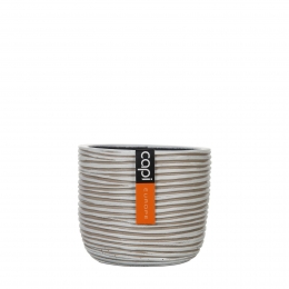 PotbolRib18x16IvoorCapiEurope-Capieurope