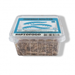 Meelwormenbakje50gReptofoodAquadistri-Aquadistri