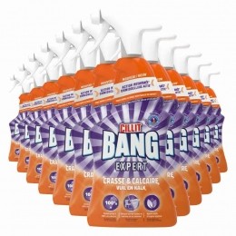12xCillitBangLimeGrimeSpray750ml