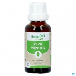HerbalgemWijnstokMaceraatBio30ml