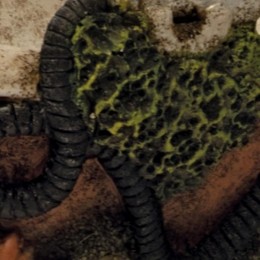 SfbubbledecobadkuipSuperfish-Superfish