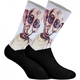 SokkenJenes-DOBBY