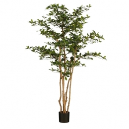 MicaDecorationsKunstplantOlijfboominPot-H183x130cm-Groen