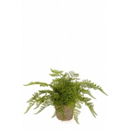 EasyplantsKunstVaren30Cm