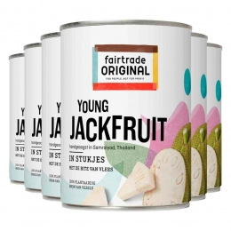 6xFairtradeOriginalYoungJackFruit565gr