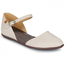 BallerinasElNaturalistaSTELLA