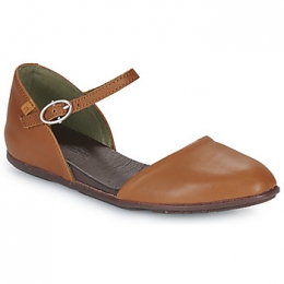 BallerinasElNaturalistaSTELLA