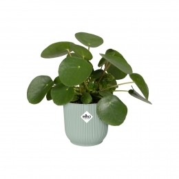 Vibesfoldrondmini7cmsorbetgroen-Elho