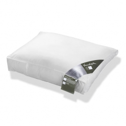 VandyckFeelGoodHoofdkussen