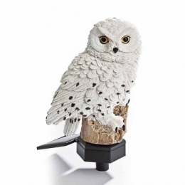 Sneeuwuilopzonne-energie