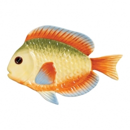 kamsterdamFishBord-Rainbow