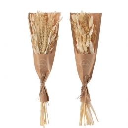 J-Linedroogbloemen-BundelgedroogdeAvanagras-naturel