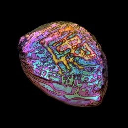 IanChang-BelongingCD
