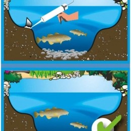 VijverfolieFolicollUniversal315mlVelda-Velda