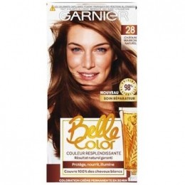 HaarverfGarnier-