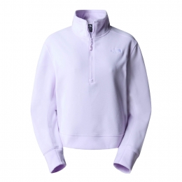 TheNorthFace100GlacierFleeceHalfZip