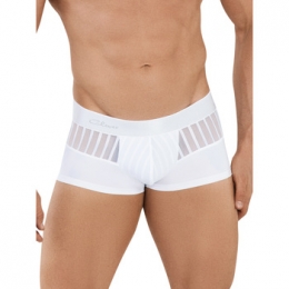 BoxersCleverLatinBoxerLucerna